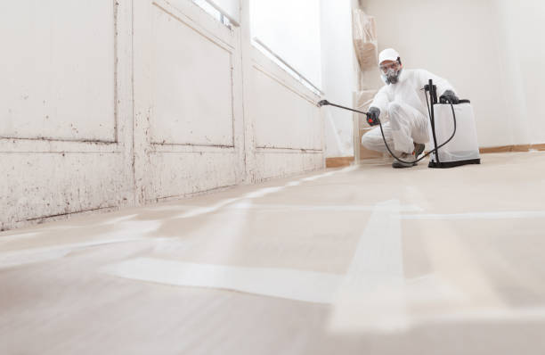 24/7 Emergency Mold Remediation experts in Silver Hill, MD
