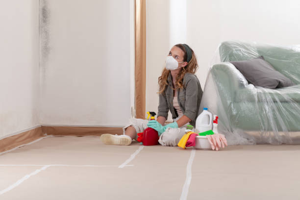 Reliable Mold Remediation contractor in Silver Hill, MD by 24 Hour Mold Removal